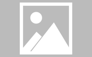 沙河网页设计英文默认字体（网页设置英文转换中文）